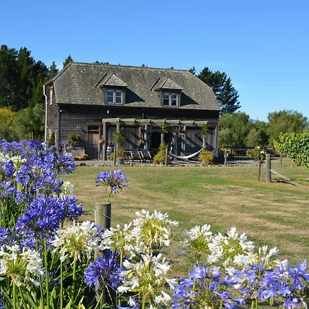 Ddog Vineyard & Bnb Renwick Esterno foto