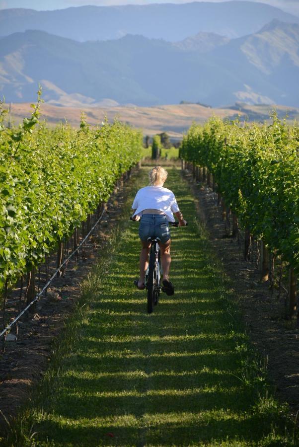 Ddog Vineyard & Bnb Renwick Esterno foto