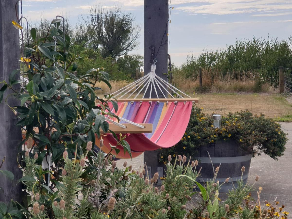 Ddog Vineyard & Bnb Renwick Esterno foto