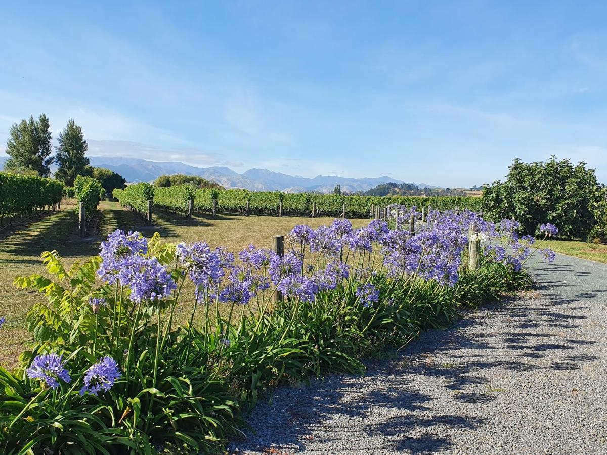 Ddog Vineyard & Bnb Renwick Esterno foto