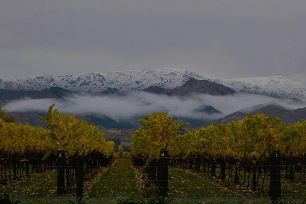 Ddog Vineyard & Bnb Renwick Esterno foto